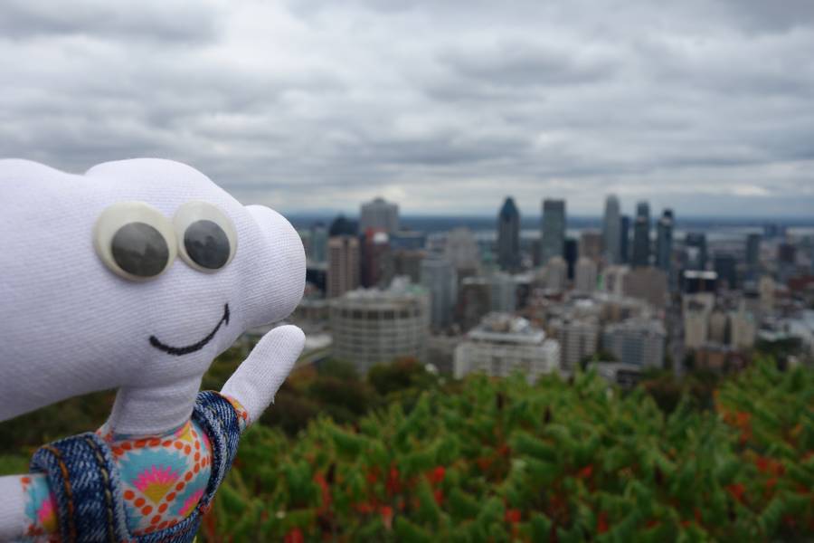 Mr Dream admire Montréal depuis le Mont Royal
